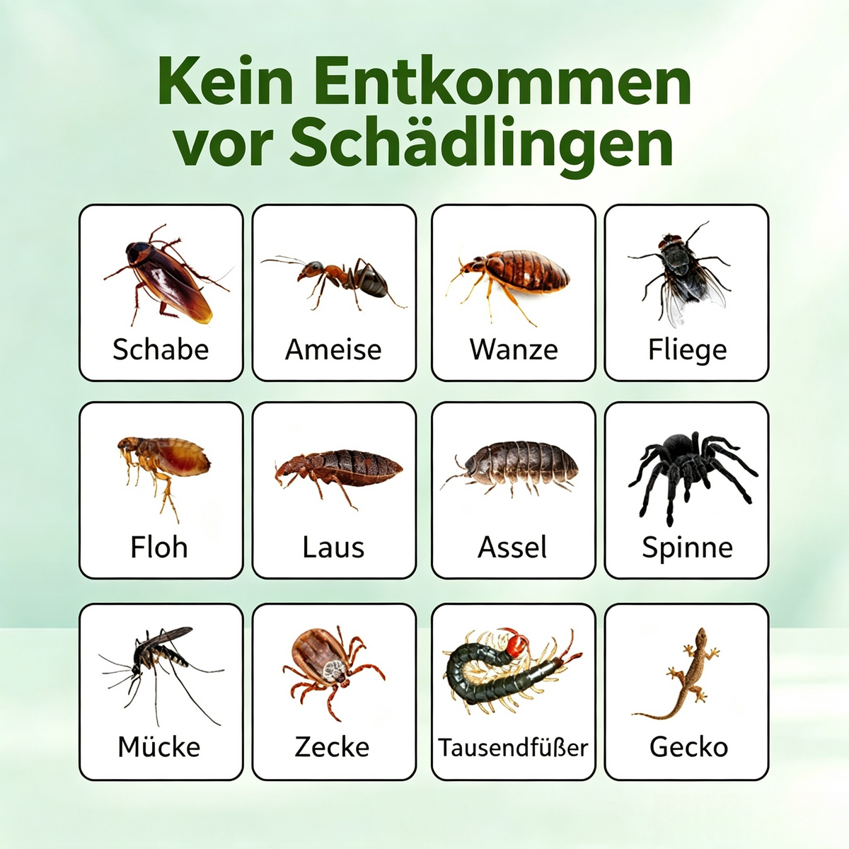 Insektizider Raucherzeuger Set mit Nachfüllpackung – Starkes Insektenspray & Mückenmittel mit Pyrethrum (3%) & Deltamethrin (5%), 360° Rauch-Vernebler für Haus & Wohnung