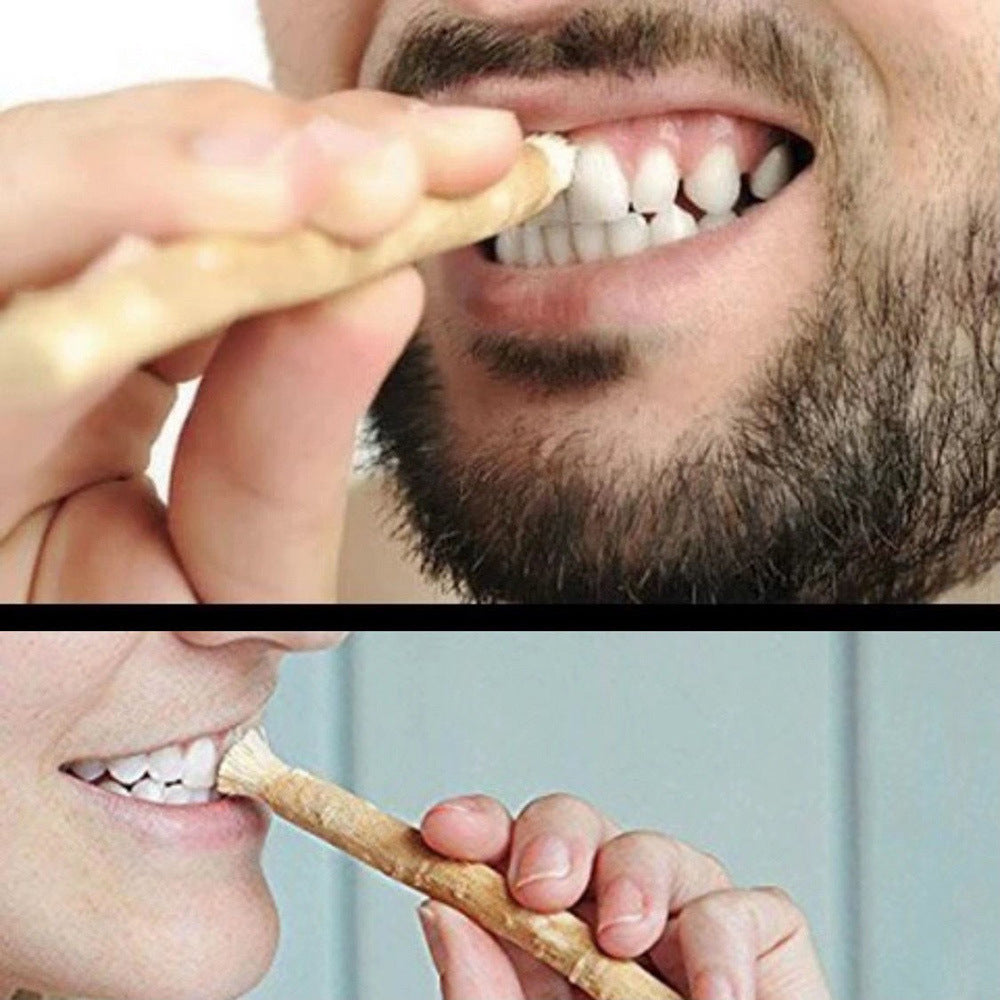 Natürliche Miswak Zahnbürste – Traditionelle Bio-Zahnpflege aus Salvadora Persica – Vegan & Kompostierbar – Zahnbürsten-Sticks für Weiße Zähne & Frischen Atem – Zero Waste