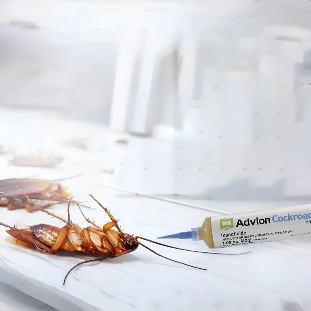 Schabengel 3-Teiliges Set (1x 30g) – Effektiver Ungezieferköder Gel mit Gel-Kartusche, Kolben & Präzisions-Dosierspitze für Küche & Haushalt
