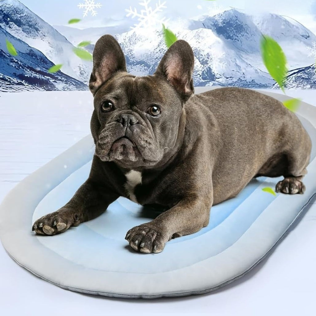 Kühlmatte für Hunde & Katzen – Beidseitig Verwendbare Kühlmatte für den Sommer – Atmungsaktive Eisseiden-Technologie – Waschbare Haustiermatte zur Kühlung