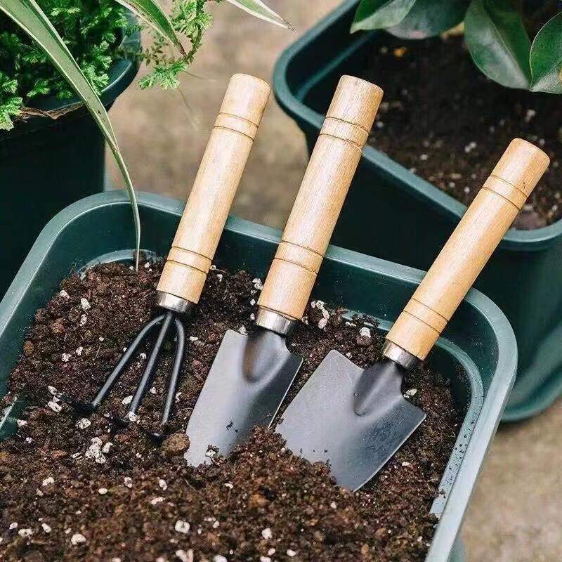 3-teiliges Mini-Gartenwerkzeug Set – Handwerkzeuge für Bonsai, Topfpflanzen & Pflanzenpflege im Garte