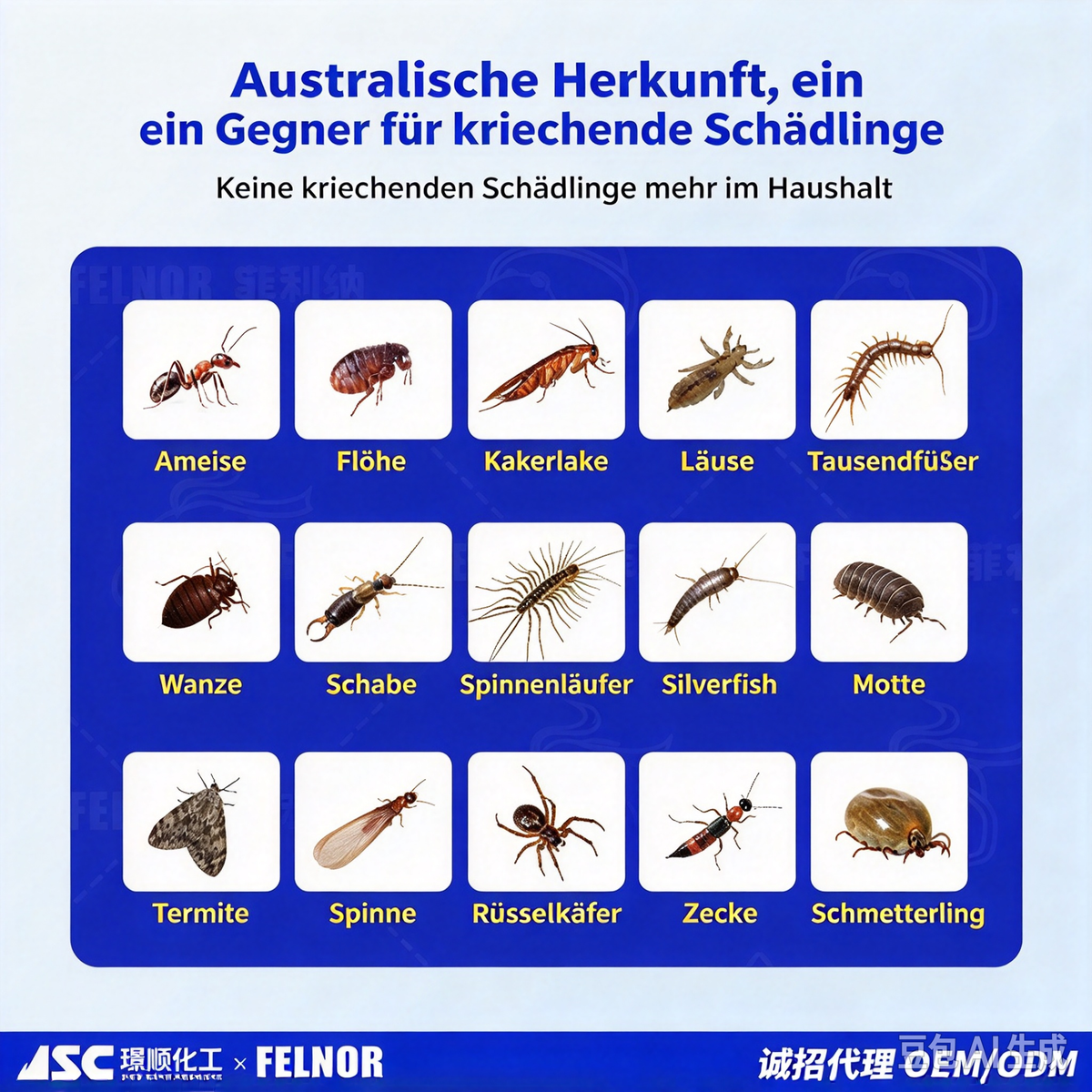 Abflussfliegen Insektenvernichter (500ml) – Effektives Spray gegen Schmetterlingsmücken & Larven im Abfluss, Mit Dinotefuran (0,5%), Langzeitschutz für Bad, WC & Küche