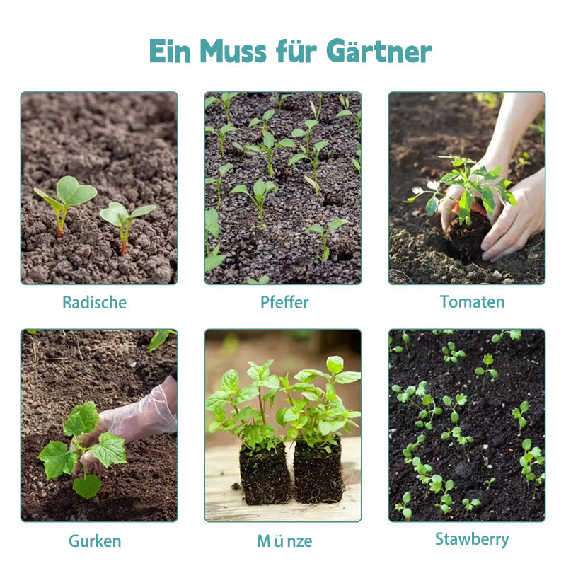 Kleine Pflanzen Anzuchtschale mit Belüftungsventil und Beleuchtung