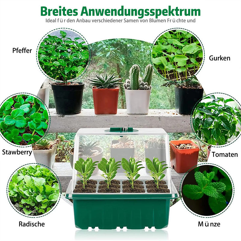 Kleine Pflanzen Anzuchtschale mit Belüftungsventil und Beleuchtung