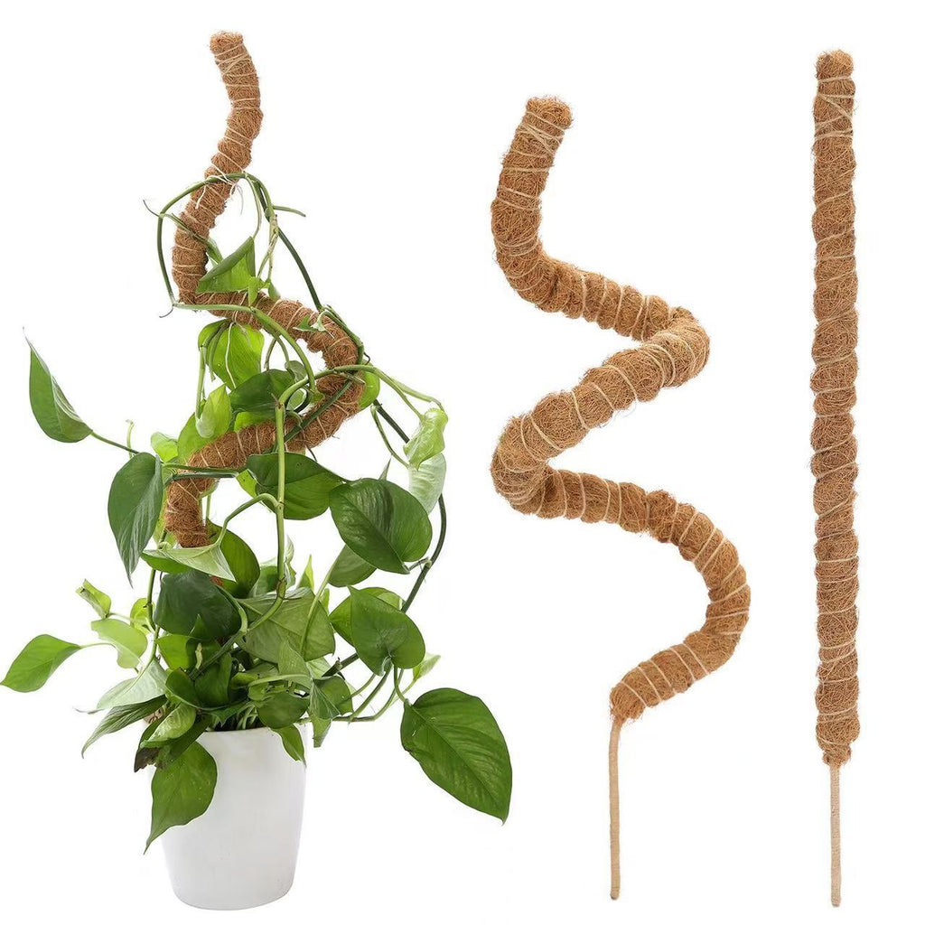 Biegsamer Kokosstab für Pflanzen – 60cm/90cm/120cm Moosstab Moosstange – Natürliche Kletterhilfe für Monstera, Efeutute & Rankpflanzen – Pflanzstütze aus Kokosfaser