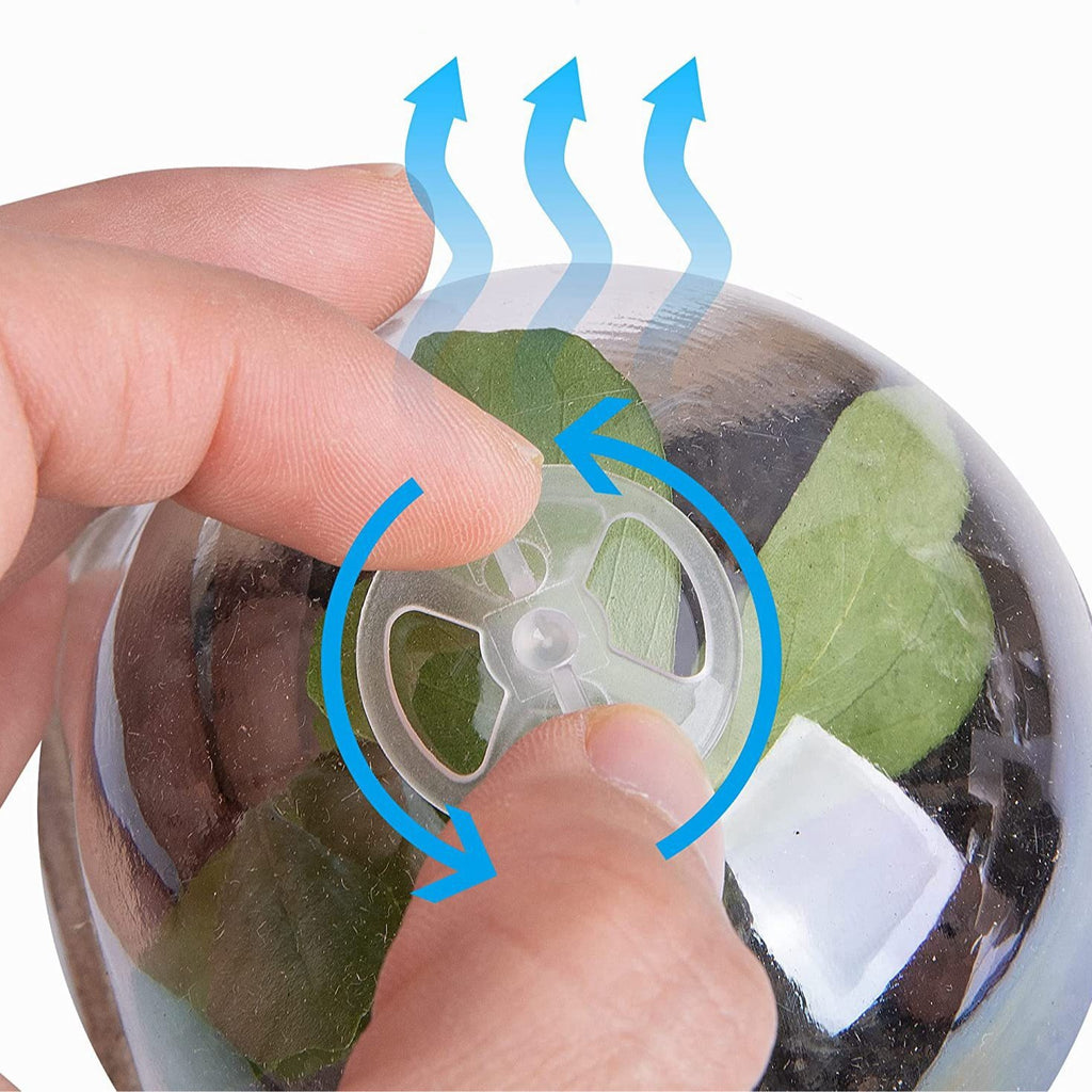 Biologisch abbaubare Anzuchttöpfe aus Zellstoff – 100% Torffreie Anzuchtschalen für Samen – Nachhaltige Setzling-Töpfe für den Garten