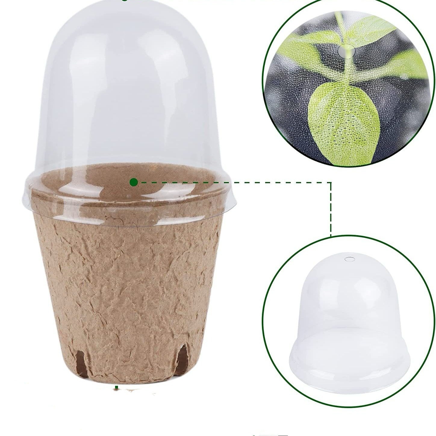 Biologisch abbaubare Anzuchttöpfe aus Zellstoff – 100% Torffreie Anzuchtschalen für Samen – Nachhaltige Setzling-Töpfe für den Garten