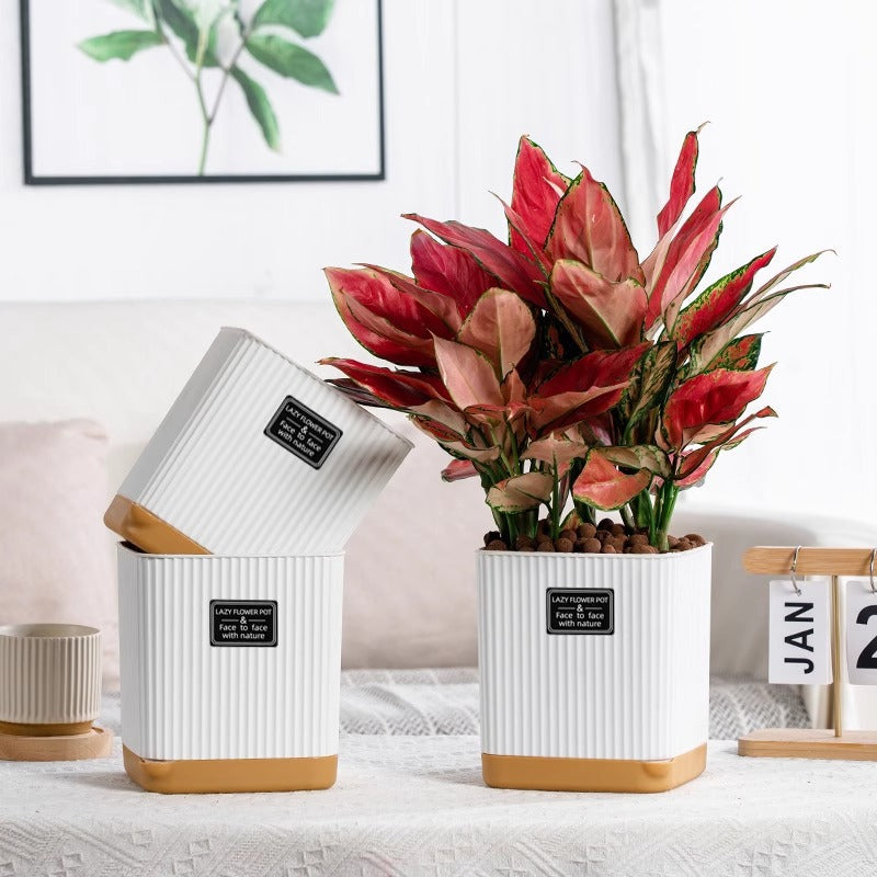 Edler Orchideentopf in Keramik-Optik – Minimalistischer Harz-Blumentopf für Schmetterlingsorchideen – Weißer Pflanzkübel für Zimmerpflanzen – Robust & Leicht