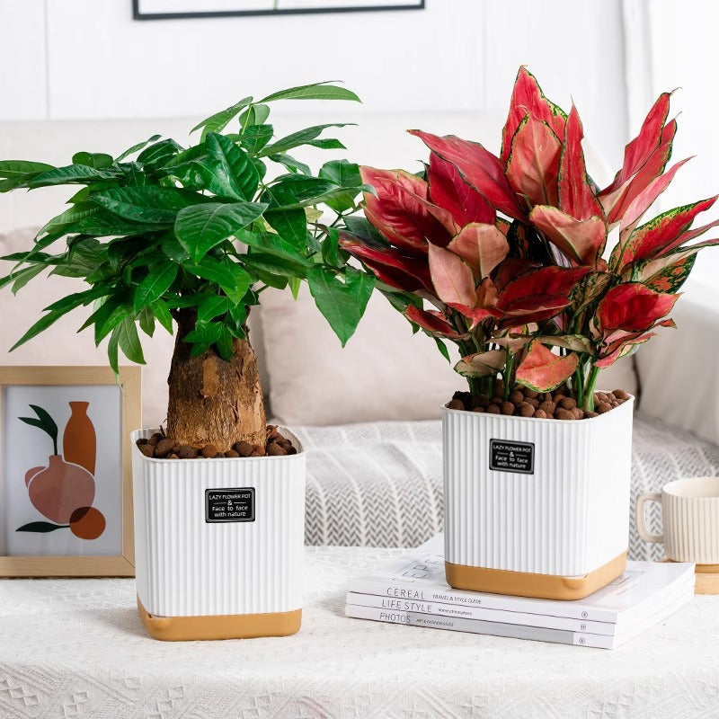 Edler Orchideentopf in Keramik-Optik – Minimalistischer Harz-Blumentopf für Schmetterlingsorchideen – Weißer Pflanzkübel für Zimmerpflanzen – Robust & Leicht