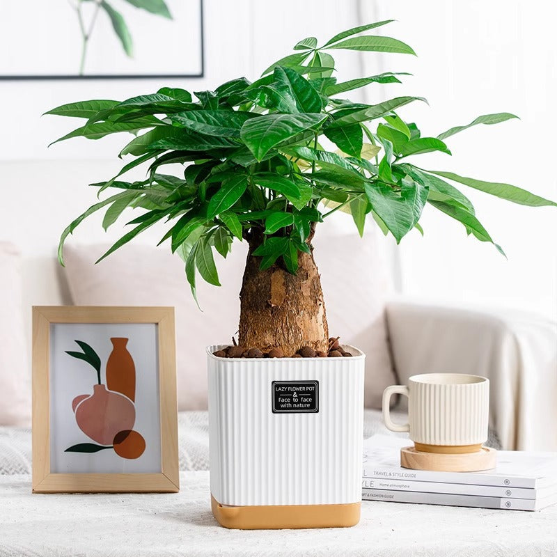 Edler Orchideentopf in Keramik-Optik – Minimalistischer Harz-Blumentopf für Schmetterlingsorchideen – Weißer Pflanzkübel für Zimmerpflanzen – Robust & Leicht