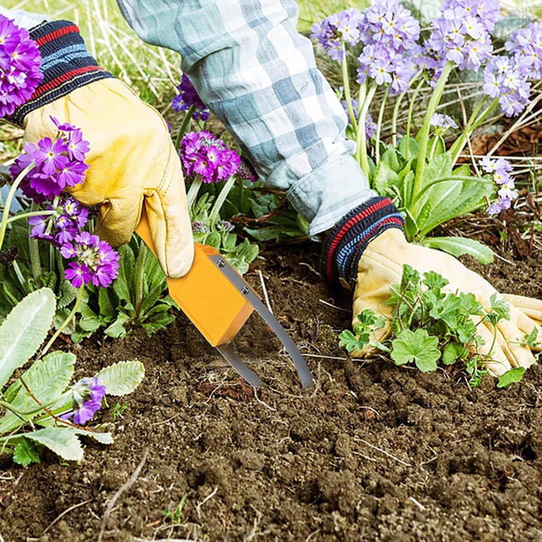 Effektiver Hand-Unkrautentferner für Garten und Beete