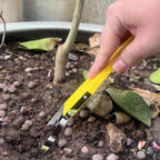 Effektiver Hand-Unkrautentferner für Garten und Beete