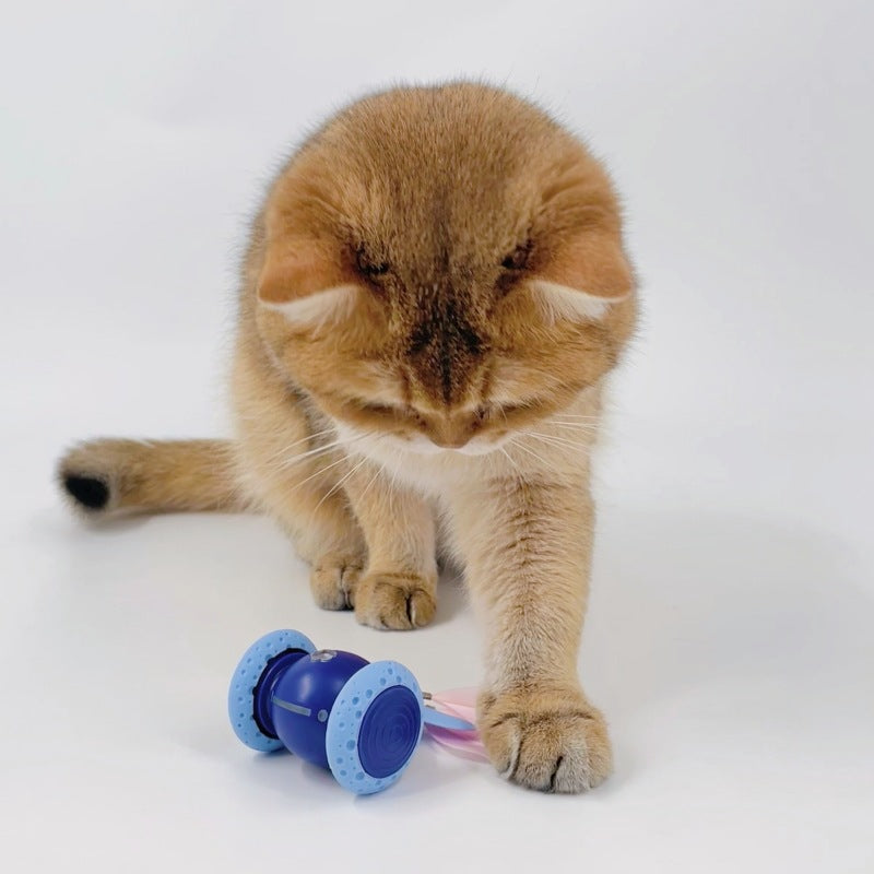 Elektrisches Katzen Spielzeug – Automatisches USB-Aufladbares Interaktives Katzenspiel für lange Laufzeit