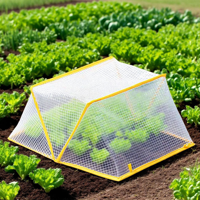 Faltbares Garten Gewächshaus Abdeckung Pflanzenschutz Haube Transparent Frostschutz Anzuchtabdeckung