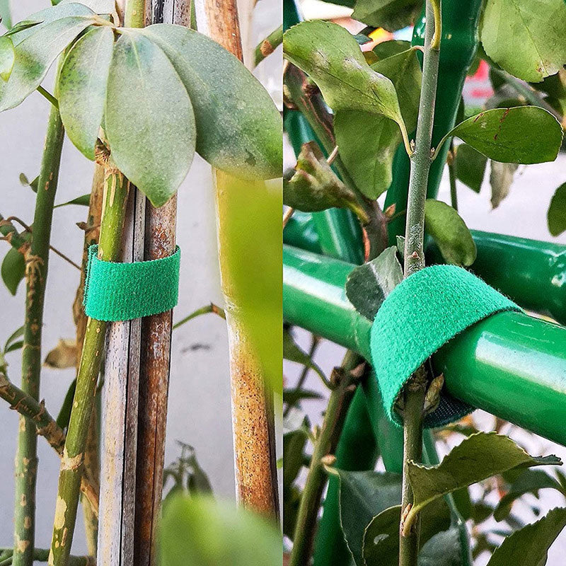 Garten Pflanzenbindeband Pflanzenclip Klettband für Monstera Bindung Pflanze Blumenarrangement