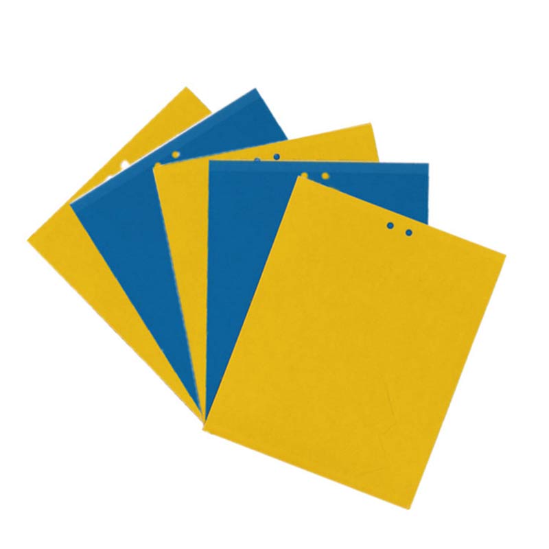 Gelbtafel Blautafel Doppelseitige Insektenfalle Klebefalle Gegen Thripse Und Weiße Fliegen Für Obstgarten Und Teegarten