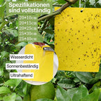 Gelbtafel Blautafel Doppelseitige Insektenfalle Klebefalle Gegen Thripse Und Weiße Fliegen Für Obstgarten Und Teegarten