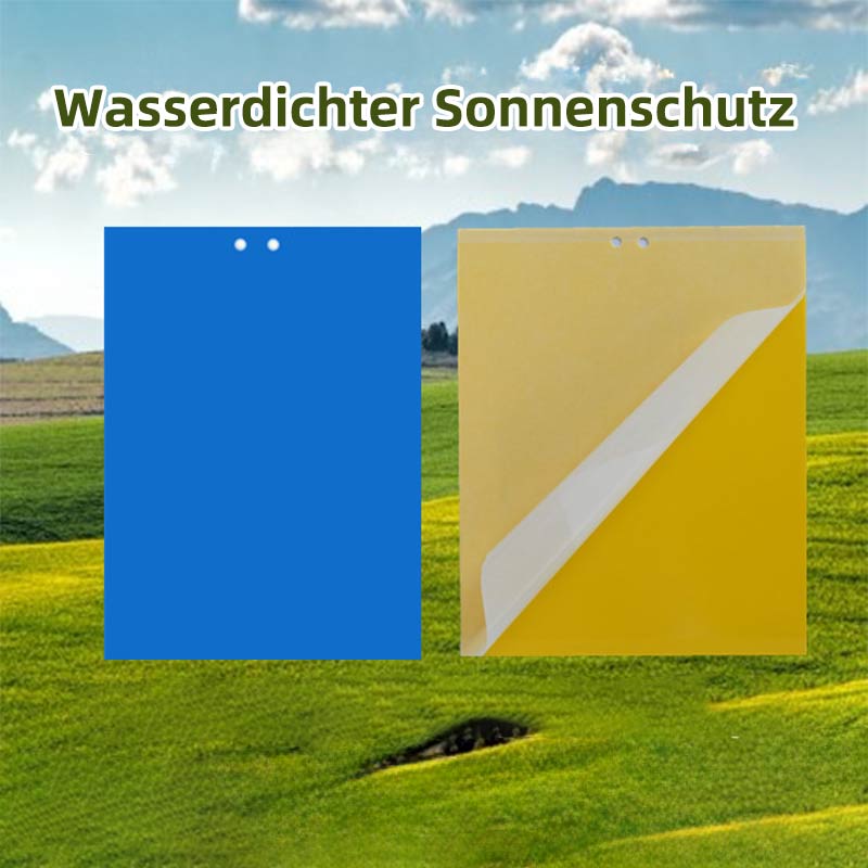 Gelbtafel Blautafel Doppelseitige Insektenfalle Klebefalle Gegen Thripse Und Weiße Fliegen Für Obstgarten Und Teegarten