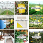 Gelbtafel Blautafel Doppelseitige Insektenfalle Klebefalle Gegen Thripse Und Weiße Fliegen Für Obstgarten Und Teegarten