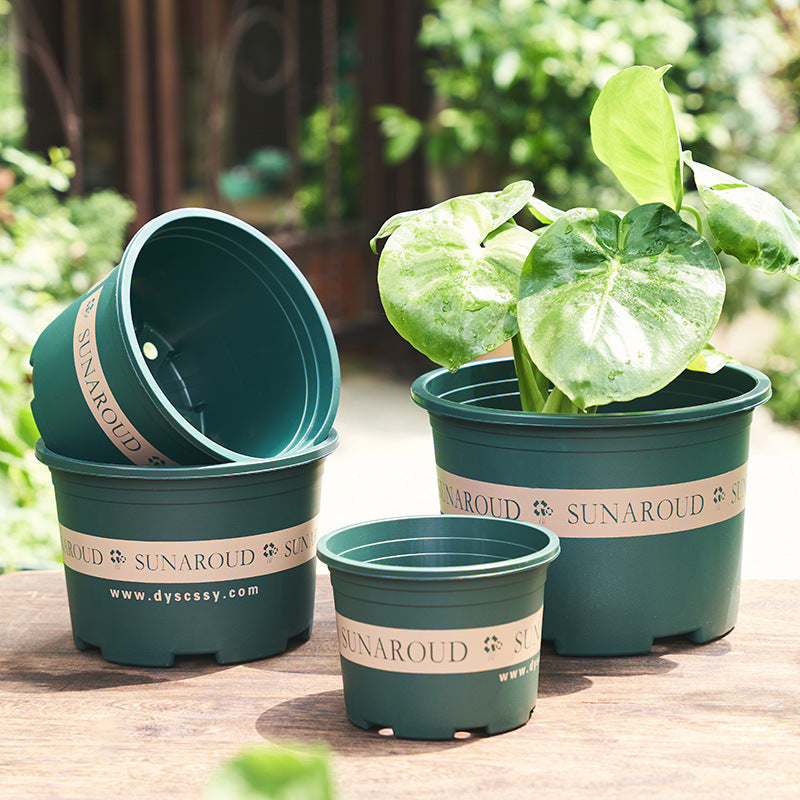 Großhandel Kunststoff-Pflanztöpfe – Extra Dicke Gallonen-Töpfe (5/7/10 Gallonen) – Robuste Harz-Blumentöpfe für Rosen, Erdbeeren & Monstera – UV-Beständig & Frostsicher