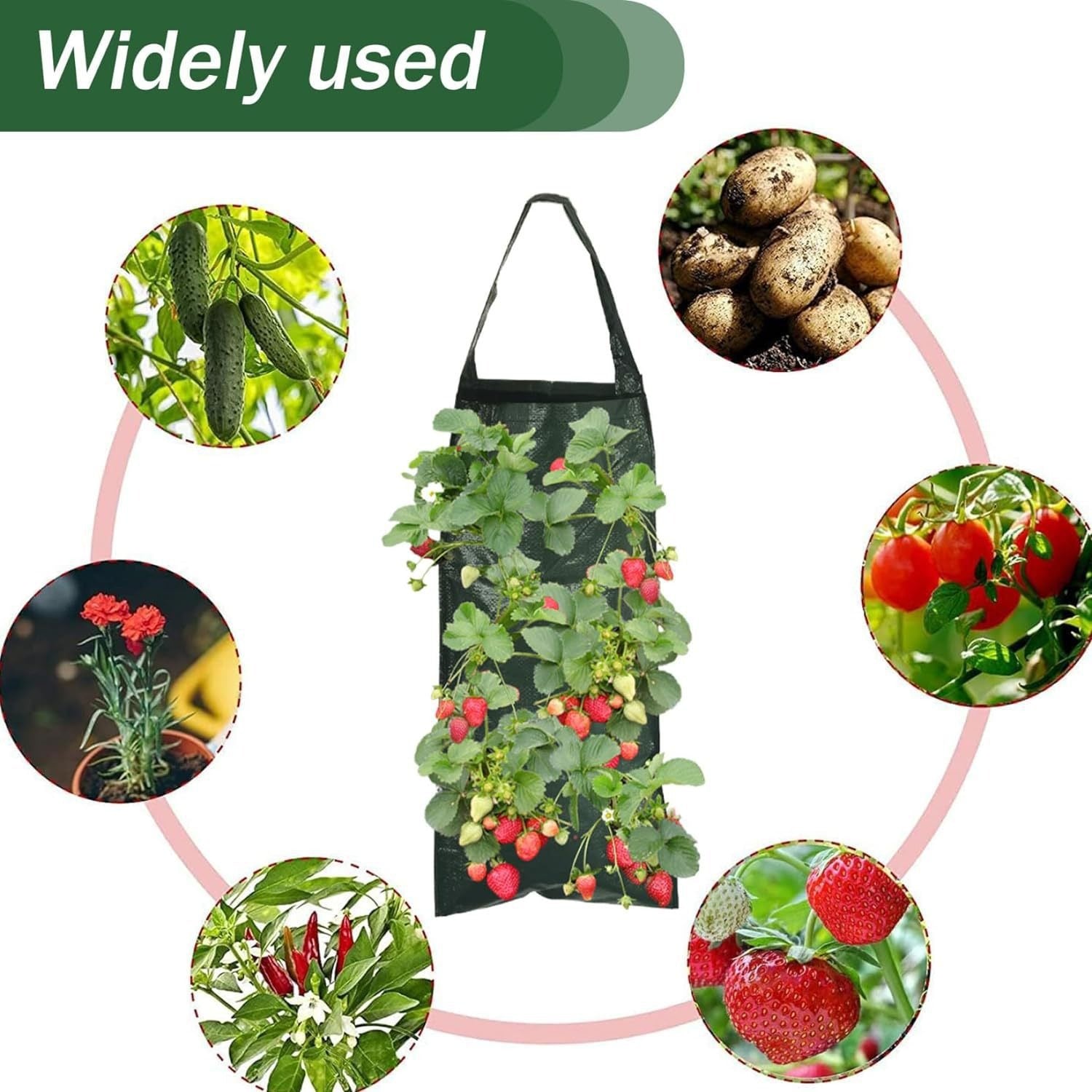 Hängender Erdbeer-Pflanzbeutel für Balkon & Terrasse – Vertikales Pflanzgefäß mit 8/10 Löchern – Robuster Pflanzsack für Erdbeeren, Kräuter & Tomaten – Platzsparend