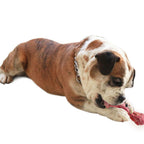 Hundespielzeug aus Gummi – Kauspielzeug in Knochenform, langlebig und zahnfreundlich