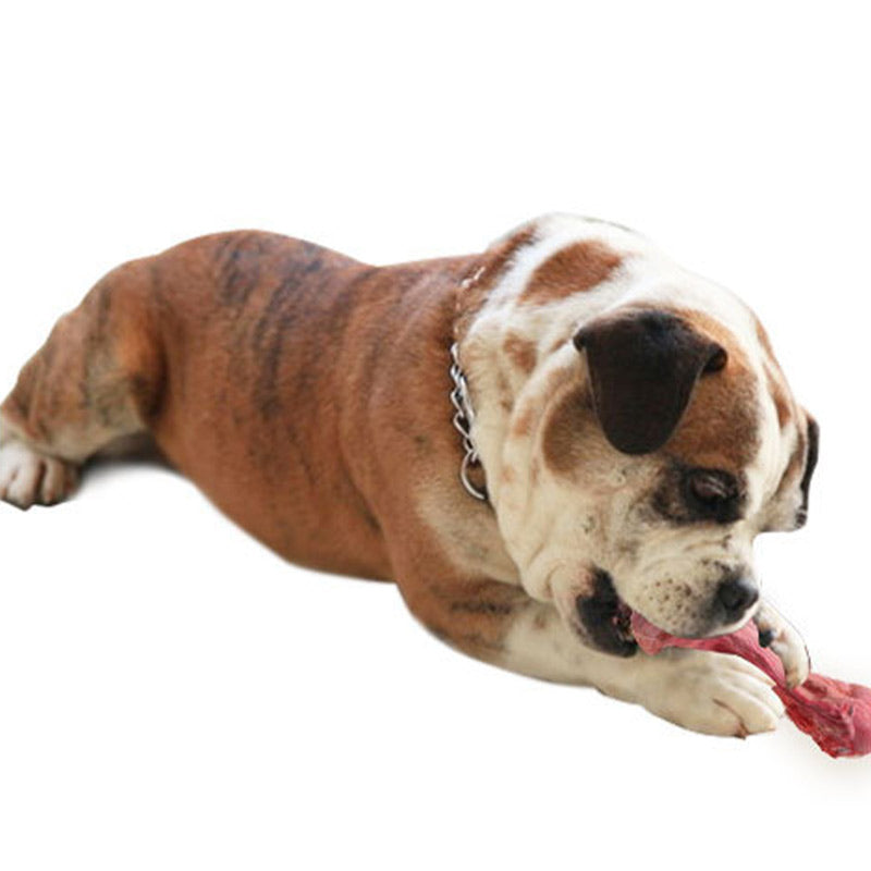 Hundespielzeug aus Gummi – Kauspielzeug in Knochenform, langlebig und zahnfreundlich