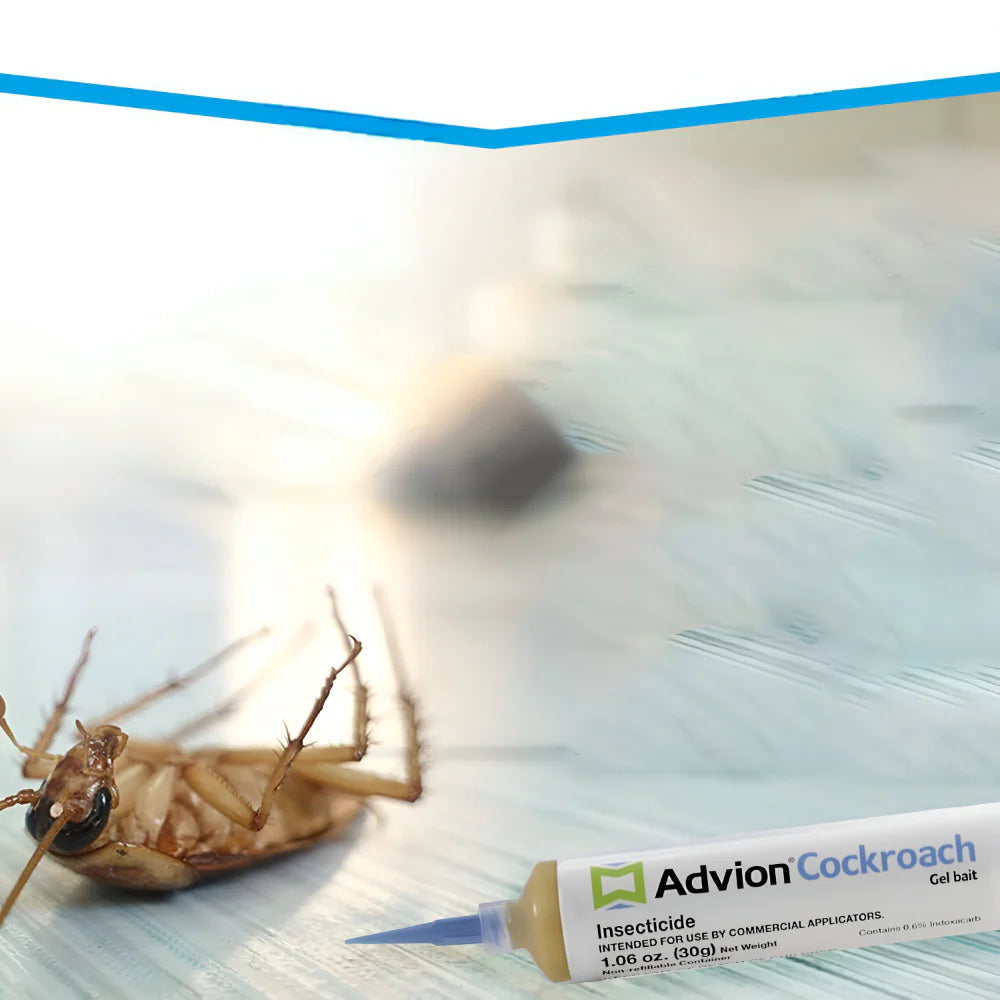 Kakerlaken Gel Falle – Leistungsstarker Köder zur Langzeitbekämpfung von Schaben