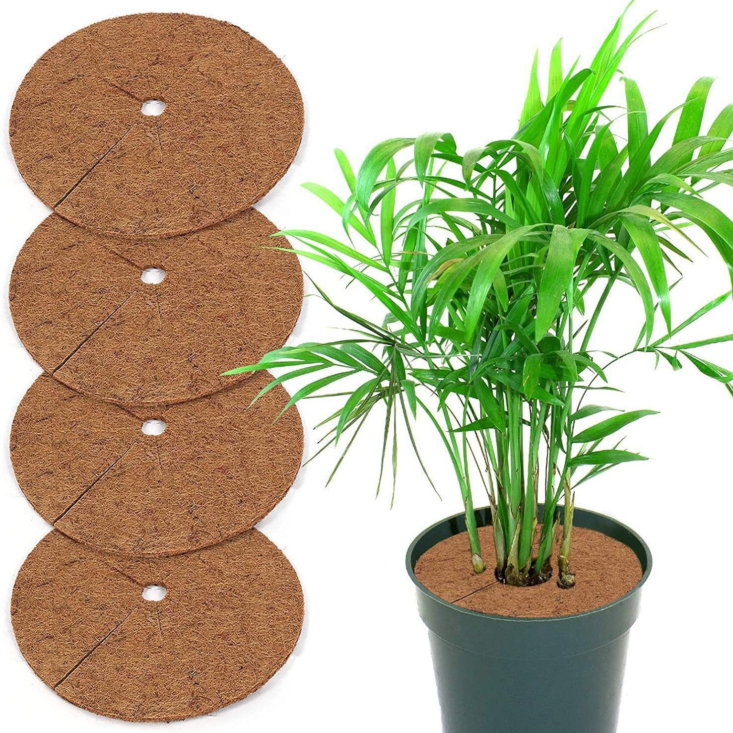 Kokos-Mulchscheibe für Pflanzen – Natürlicher Unkrautschutz & Winterschutz – Kokosmatte rund mit Schlitz – Verschiedene Größen (20-60cm) – Pflanzscheibe gegen Unkraut & Frost
