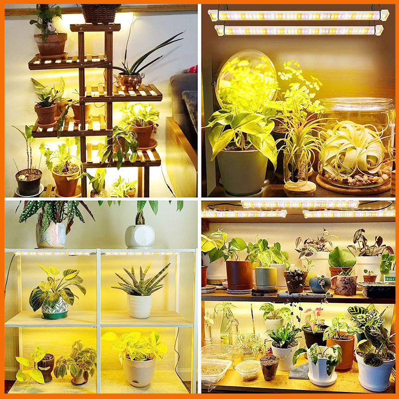 LED Pflanzenwachstumsstreifen – Vierstufige Dimmfunktion Vollspektrum für Blumen