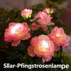 LED Solar-Dandelion Bodenlampe – Wasserdichte Garten- & Rasenleuchte für Park