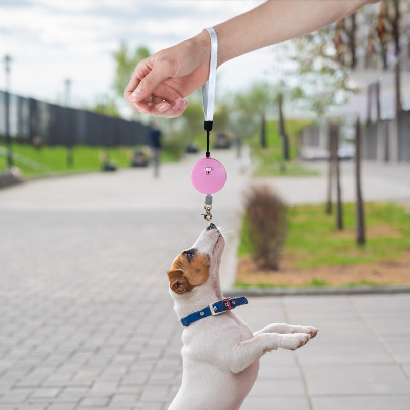 Mini Roll-Leine 2M für Katzen & kleine Hunde – Extra Robust & Reißfest – Kompakte automatische Hundeleine für unterwegs