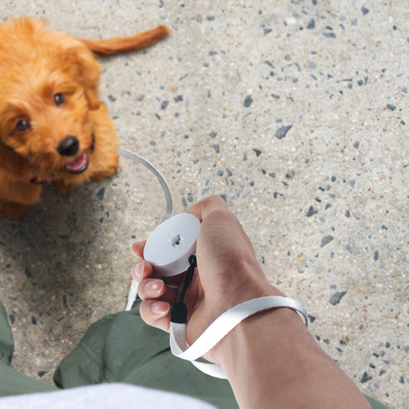 Mini Roll-Leine 2M für Katzen & kleine Hunde – Extra Robust & Reißfest – Kompakte automatische Hundeleine für unterwegs
