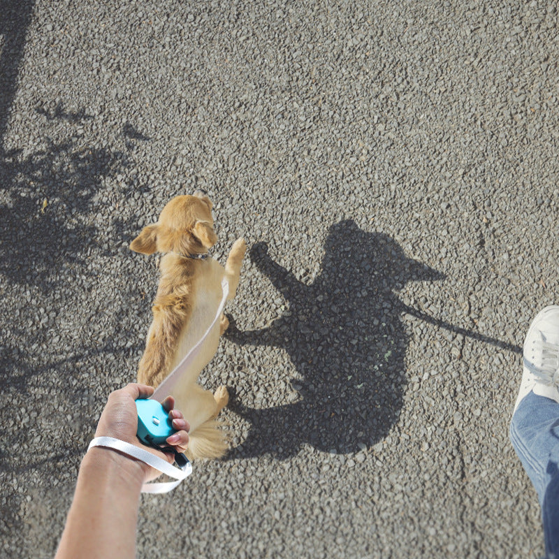 Mini Roll-Leine 2M für Katzen & kleine Hunde – Extra Robust & Reißfest – Kompakte automatische Hundeleine für unterwegs