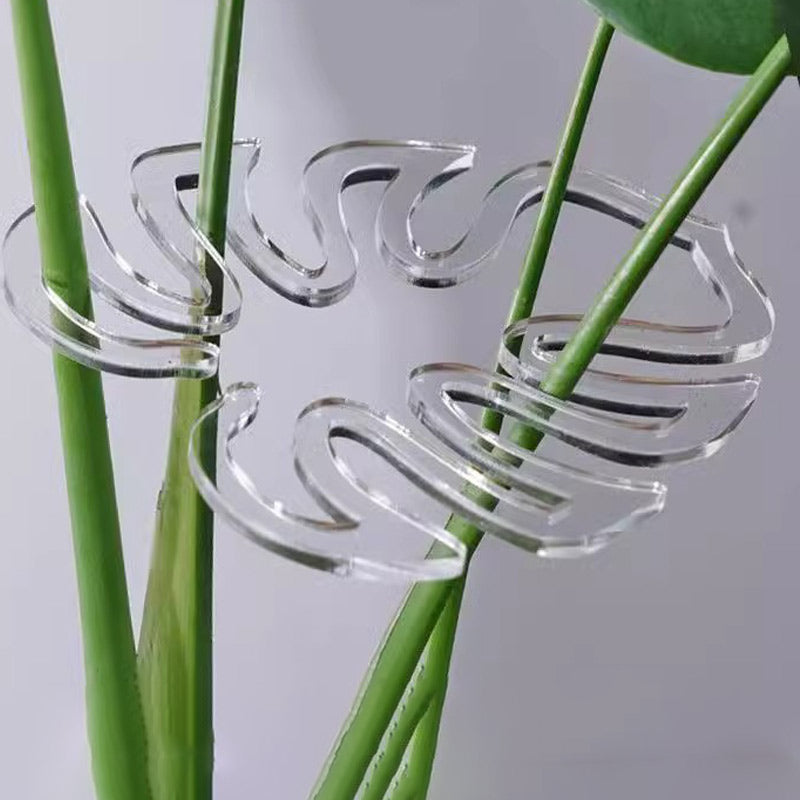 Monstera Pflanzenstütze – Blumenstab & Pflanzengestell zur Stabilisierung von Zweigen und Pflanzen