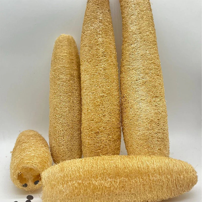 Natural Luffa Bath Scrubber for Pets – Dog & Cat Shower Sponge for Gentle Cleaning and Fur Care