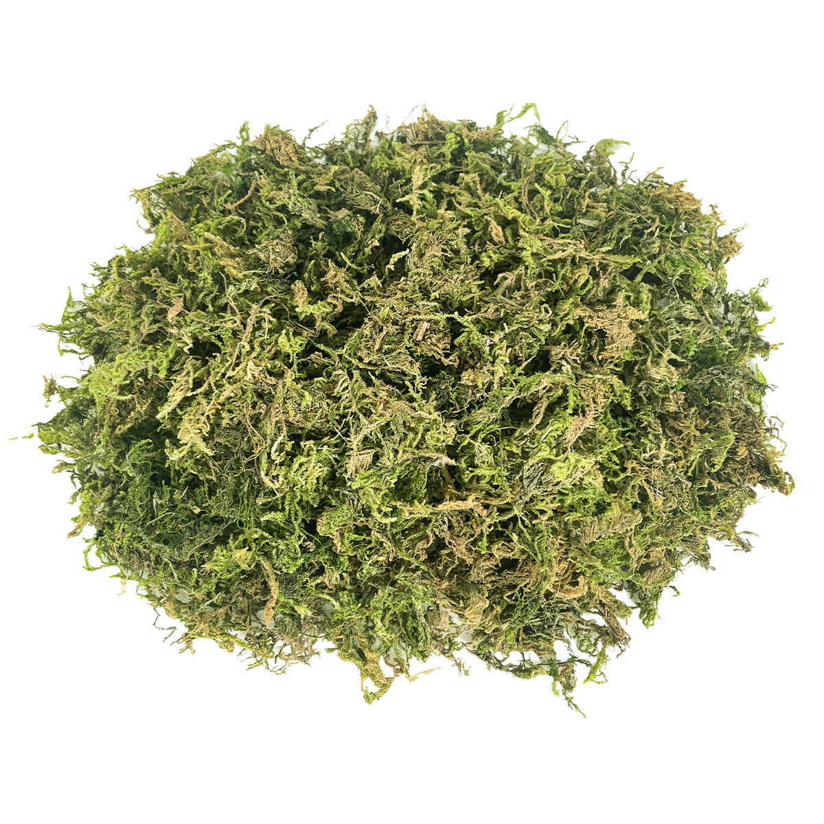 Premium Sphagnum Moos für Orchideen – Natürliches Torfmoos für Substrat & Umtopfen – Wasserspeichernd für Phalaenopsis & Dendrobium – 100% Natur