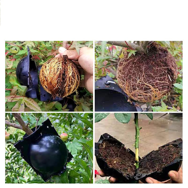 Profi Pflanzen-Vermehrungskapsel für Hochdruck-Bewurzelung – 5/10er Set Bewurzelungsball für Bäume & Sträucher – Pfropfwerkzeug für Gartenpflanzen – Wiederverwendbar – Schwarz/Transparent