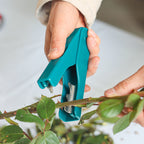 Rosen Entdorner Zangen Werkzeug Dornentferner Garten Entferner für Stiele