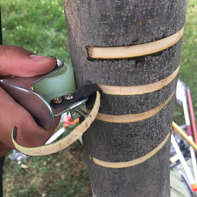 Schnell Entlastende Baumrinden Ringelschneider Doppel Klingen Ringelmesser Obstbaum Werkz