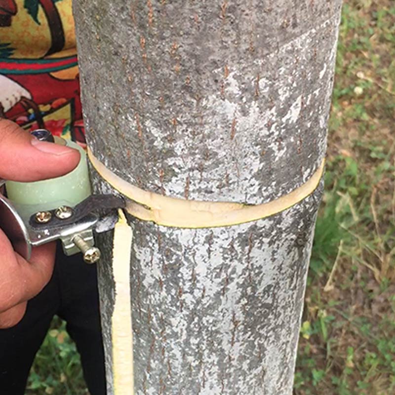 Schnell Entlastende Baumrinden Ringelschneider Doppel Klingen Ringelmesser Obstbaum Werkz
