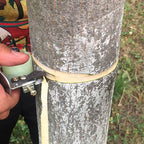 Schnell Entlastende Baumrinden Ringelschneider Doppel Klingen Ringelmesser Obstbaum Werkz