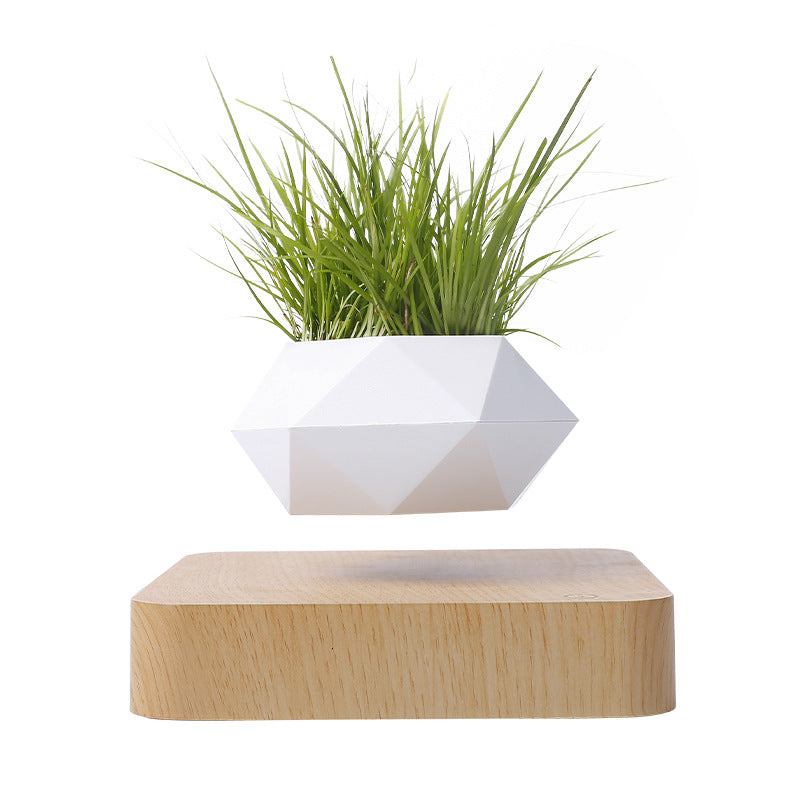 Schwebender Blumentopf Magnetisch – Levitierende Pflanze für Bonsai & Zimmerpflanzen – Einzigartige Dekoration & Geschenkidee zum Geburtstag