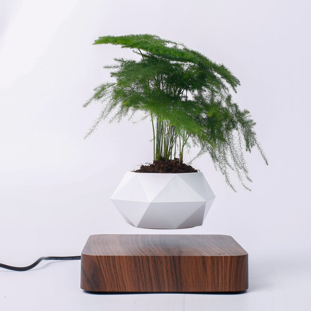 Schwebender Blumentopf Magnetisch – Levitierende Pflanze für Bonsai & Zimmerpflanzen – Einzigartige Dekoration & Geschenkidee zum Geburtstag