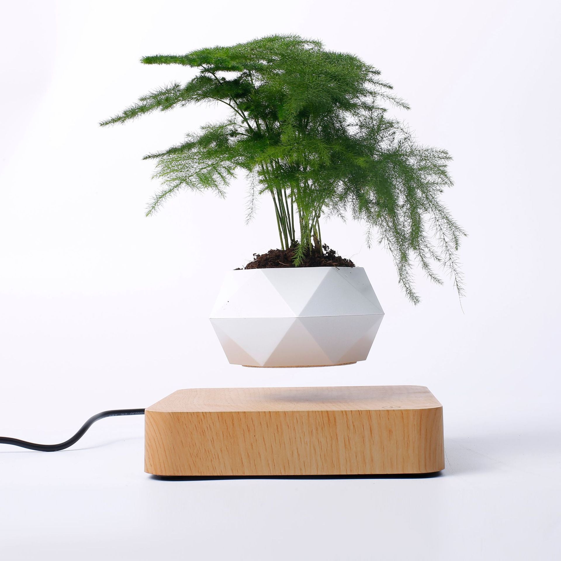 Schwebender Blumentopf Magnetisch – Levitierende Pflanze für Bonsai & Zimmerpflanzen – Einzigartige Dekoration & Geschenkidee zum Geburtstag