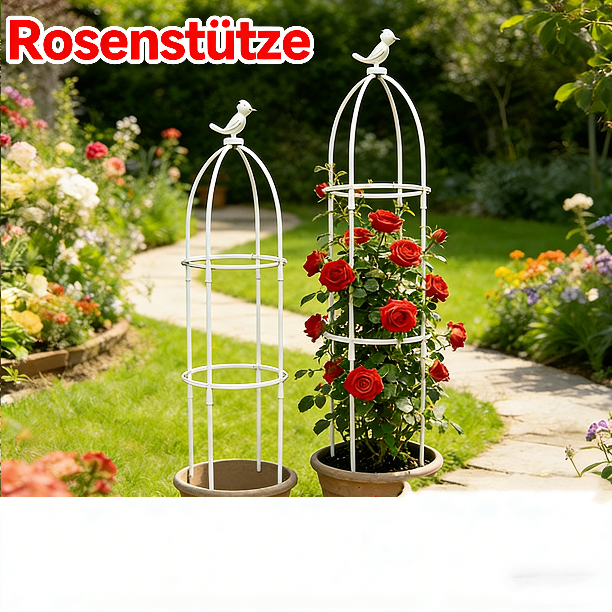 Stabile Rankhilfe für Kletterpflanzen – Rankgitter für Rosen, Clematis & Efeu – Metall/Kunststoff Pflanzenstütze für Garten & Balkon – Rankstab für Stephania Erecta – Verschiedene Größen
