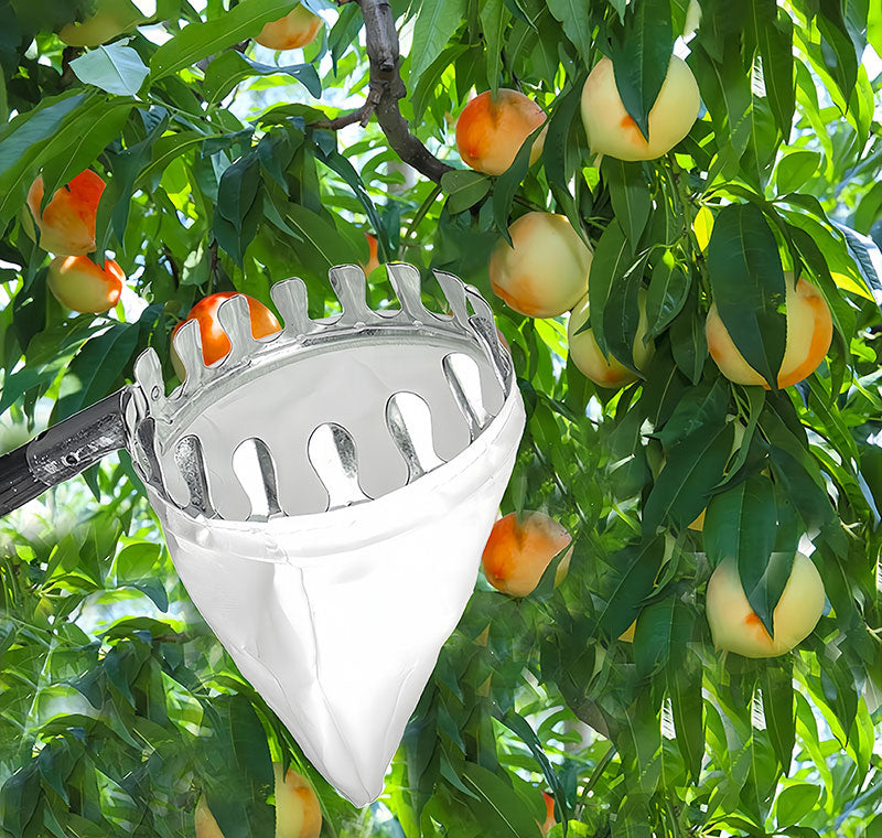 Teleskop Obstpflücker Hoch Obsternter Apfelpflücker Fruchtpflücker Garten Erntewerkzeug