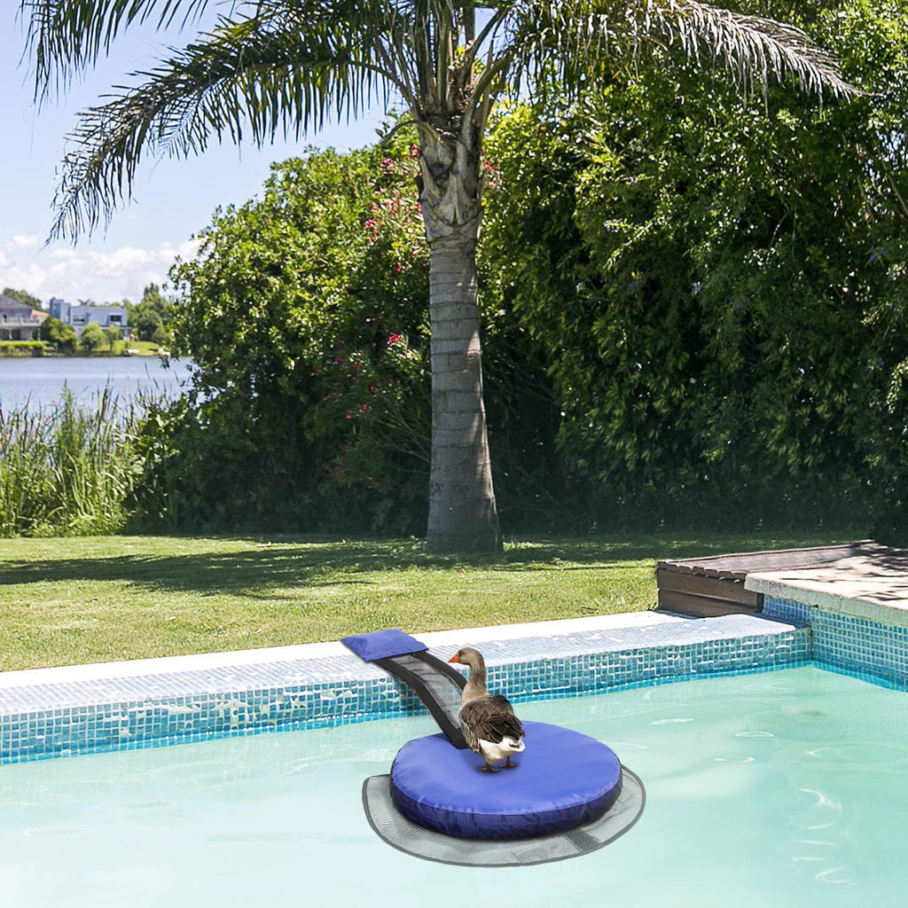 Tierrettungsrampe für den Pool – Schutz für Frösche, Bienen & Kleintiere – Fluchtweg-Matte zur Tierrettung – Blau