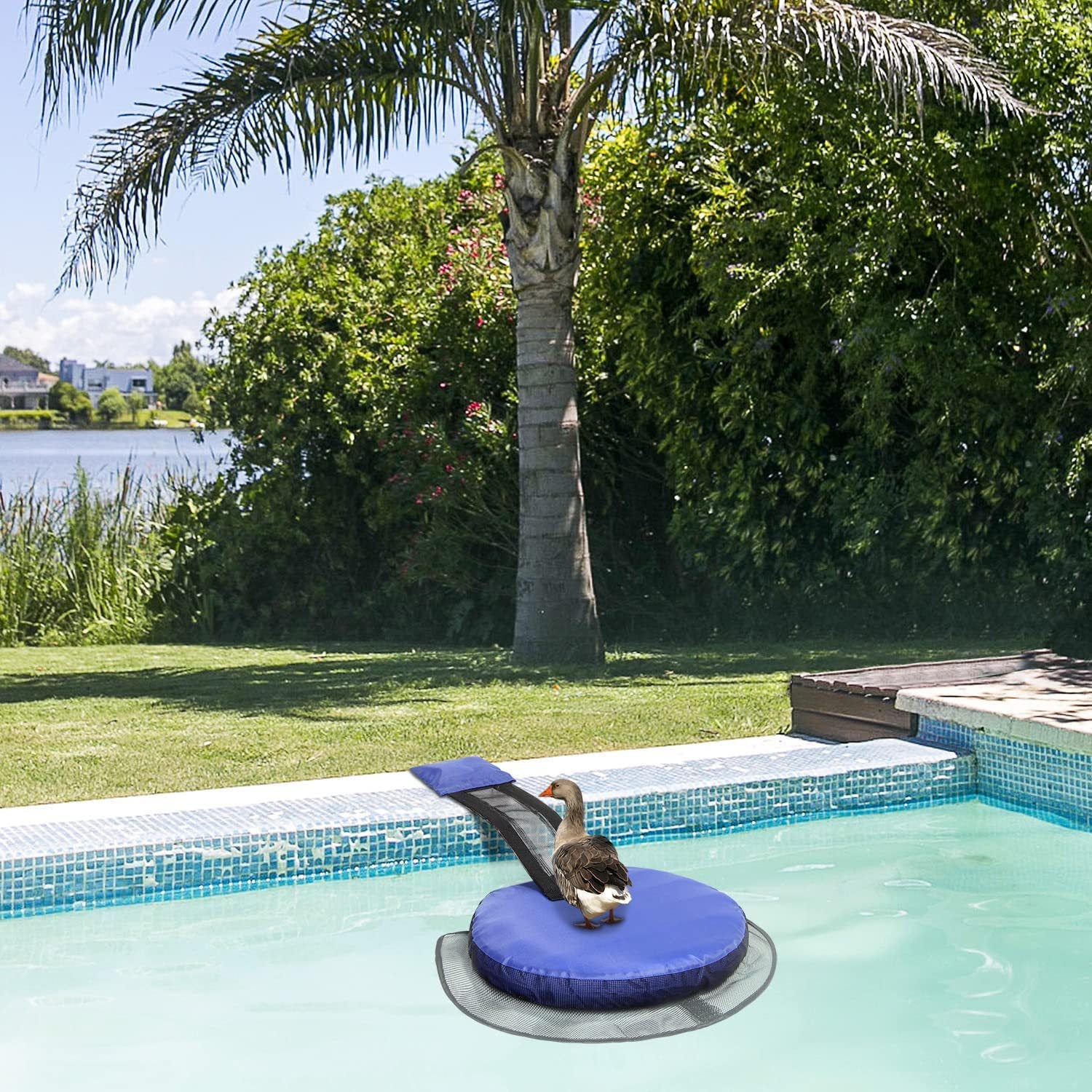 Tierrettungsrampe für den Pool – Schutz für Frösche, Bienen & Kleintiere – Fluchtweg-Matte zur Tierrettung – Blau
