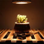 Vollspektrum-LED Pflanzenwachstumslicht – Helfen Sie Ihren Pflanzen zu gedeihen